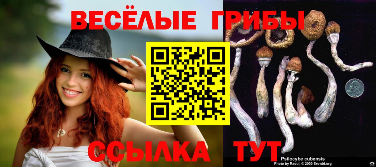 Галлюциногенные грибы мицелий Феодосия