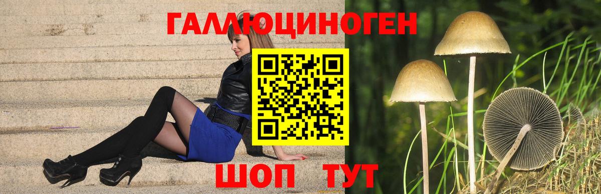 Феодосия  Галлюциногенные грибы Psilocybe  магазин    Вход с VPN 